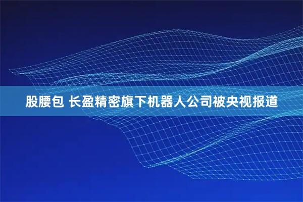 股腰包 长盈精密旗下机器人公司被央视报道