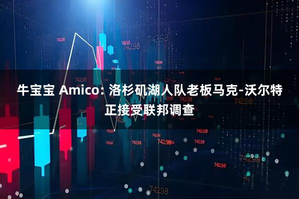 牛宝宝 Amico: 洛杉矶湖人队老板马克-沃尔特正接受联邦调查